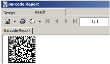 2D Data Matrix for i-net Clear Reports screenshot
