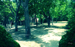 A Date in the Park screenshot 20