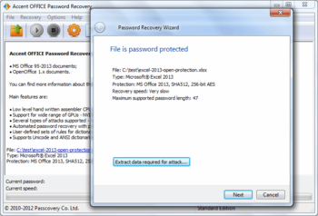 Accent Office Password Recovery  screenshot
