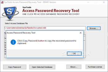 Access Password Recovery Tool screenshot 2
