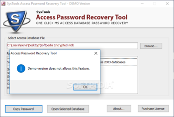 Access Password Recovery Tool screenshot 3