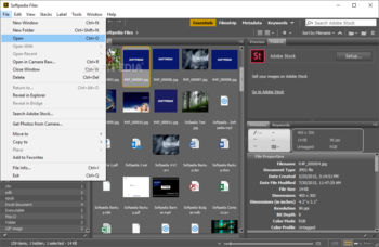 Adobe Bridge screenshot 4