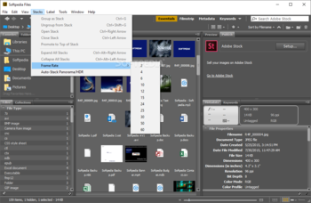 Adobe Bridge screenshot 7