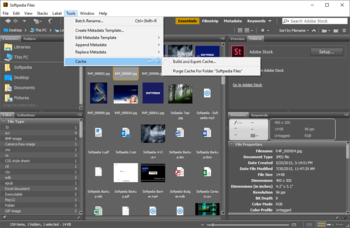 Adobe Bridge screenshot 9