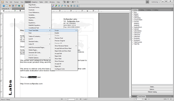 Adobe FrameMaker screenshot 8