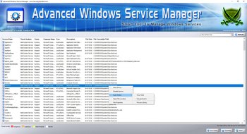 Advanced Windows Service Manager screenshot 3