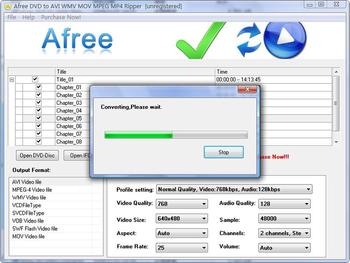 Afree DVD to AVI WMV MOV MPEG MP4 Ripper screenshot
