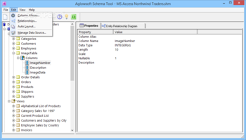 Aglowsoft SQL Query Tools screenshot 10