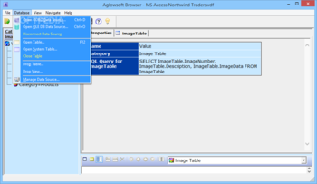 Aglowsoft SQL Query Tools screenshot 3
