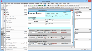 Altova XMLSpy Professional Edition screenshot 3