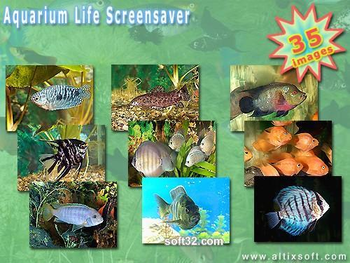 Aquarium Life Screensaver screenshot 2