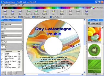 AudioLabel CD/DVD/LightScribe Labeler screenshot 3