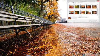 Autumn Road Windows 7 Theme screenshot