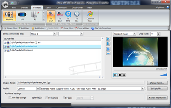 Axara AVI Video Converter screenshot 3