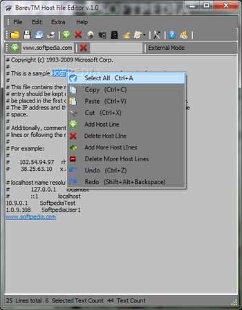 BarevTM Host File Editor screenshot 2