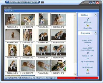 Batch JPEG Rotator screenshot