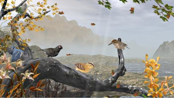 Birds of Nature 3D screenshot 2