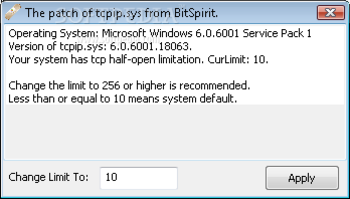 BitSpirit screenshot 7