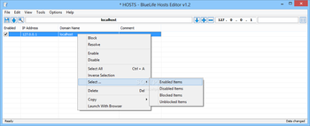 BlueLife Hosts Editor screenshot