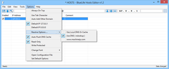 BlueLife Hosts Editor screenshot 5