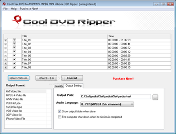 Cool Free DVD to AVI WMV MPEG MP4 iPhone 3GP Ripper screenshot 2