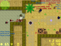 Counter-Strike 2D screenshot 11