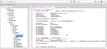 Crudzilla Java Web Application Builder screenshot 6