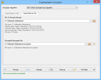 Cryptographic Encryptor screenshot 3