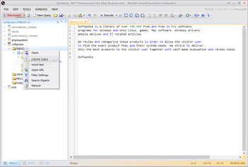 Database .NET Professional screenshot 5