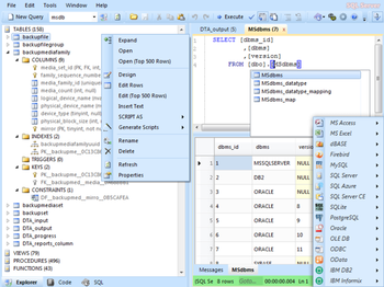 Database .NET v4 screenshot