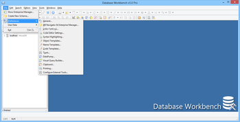 Database Workbench Pro screenshot 6