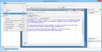 Database Workbench Pro screenshot 8