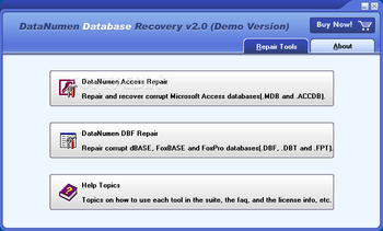 DataNumen Database Recovery screenshot