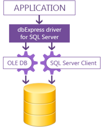 dbExpress driver for SQL Server screenshot 2