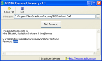 DBISAM Password Recovery screenshot 3