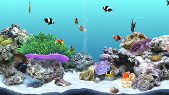 DigiFish Clownfish screenshot