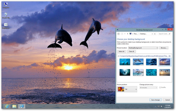 Dolphins Theme screenshot