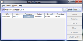 DownloadManager screenshot