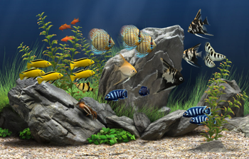 Dream Aquarium Screensaver screenshot