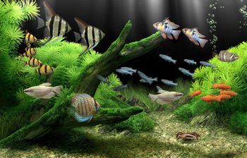 Dream Aquarium Screensaver screenshot 2