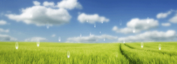 Dream-Rain Animated Desktop Wallpaper screenshot