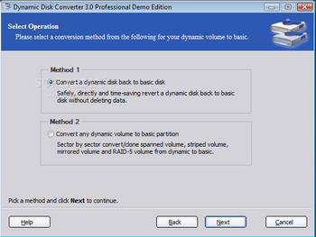 Dynamic Disk Converter Professional screenshot