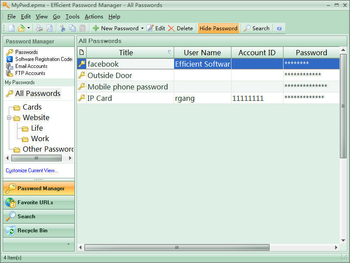 Efficient Password Manager Pro Portable screenshot 2