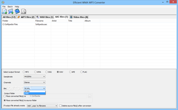 Efficient WMA MP3 Converter screenshot 4