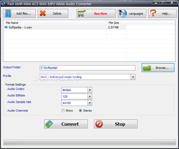 Fast AMR / M4A / AC3 / WAV / MP3 / WMA Audio Converter screenshot