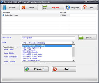 Fast AMR / M4A / AC3 / WAV / MP3 / WMA Audio Converter screenshot 2