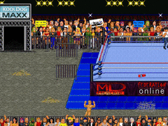 Federation Wrestling screenshot 2