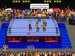 Federation Wrestling screenshot 3