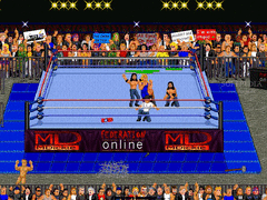 Federation Wrestling screenshot 4
