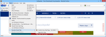Firefox Diamond Edition screenshot 5
